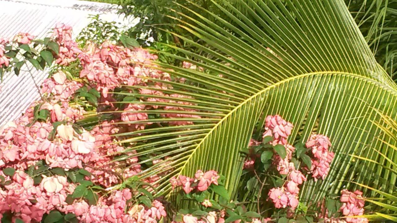 T2 Kay Zanndoli Villa ลา ทรินิเต ภายนอก รูปภาพ